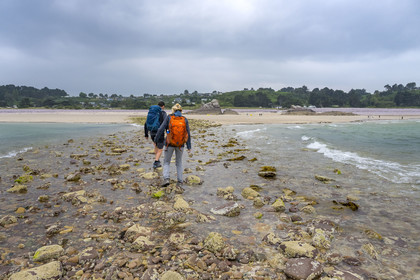 France, Cotes d'Armor, Grand Site de France Cap d'Erquy - Cap Frehel, Erquy, the Saint-Michel islet accessible on foot at low tide, passage of the tombolo at rising tide