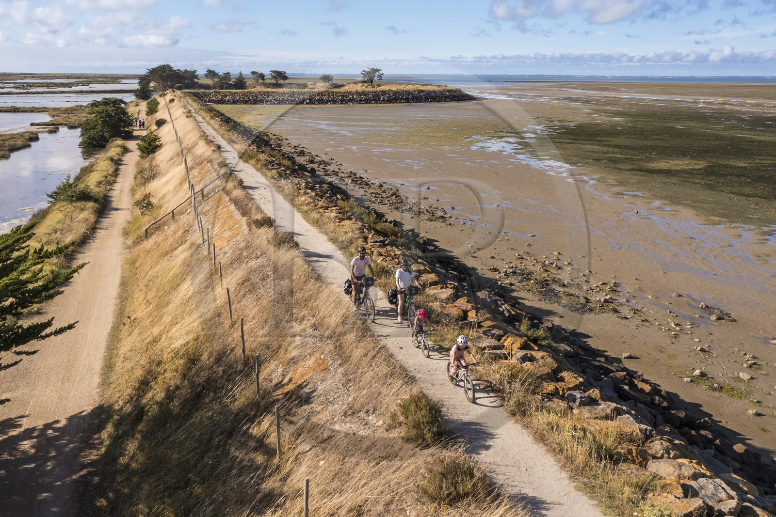 France, Vendée (85), île de Noirmoutier, Barbatre, cyclistes sur la digue de la côte Est à marrée basse (vue aérienne)