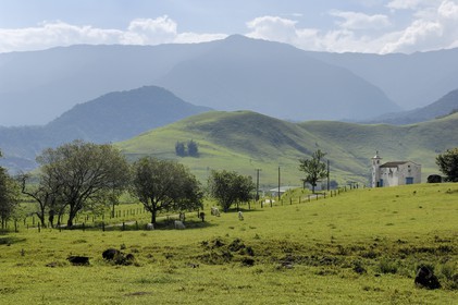 Brésil, Etat de Rio de Janeiro, Parque Nacional de Serra da Bocaina en bordure de la baie de Paraty (Route de l'or, Estrada Real)