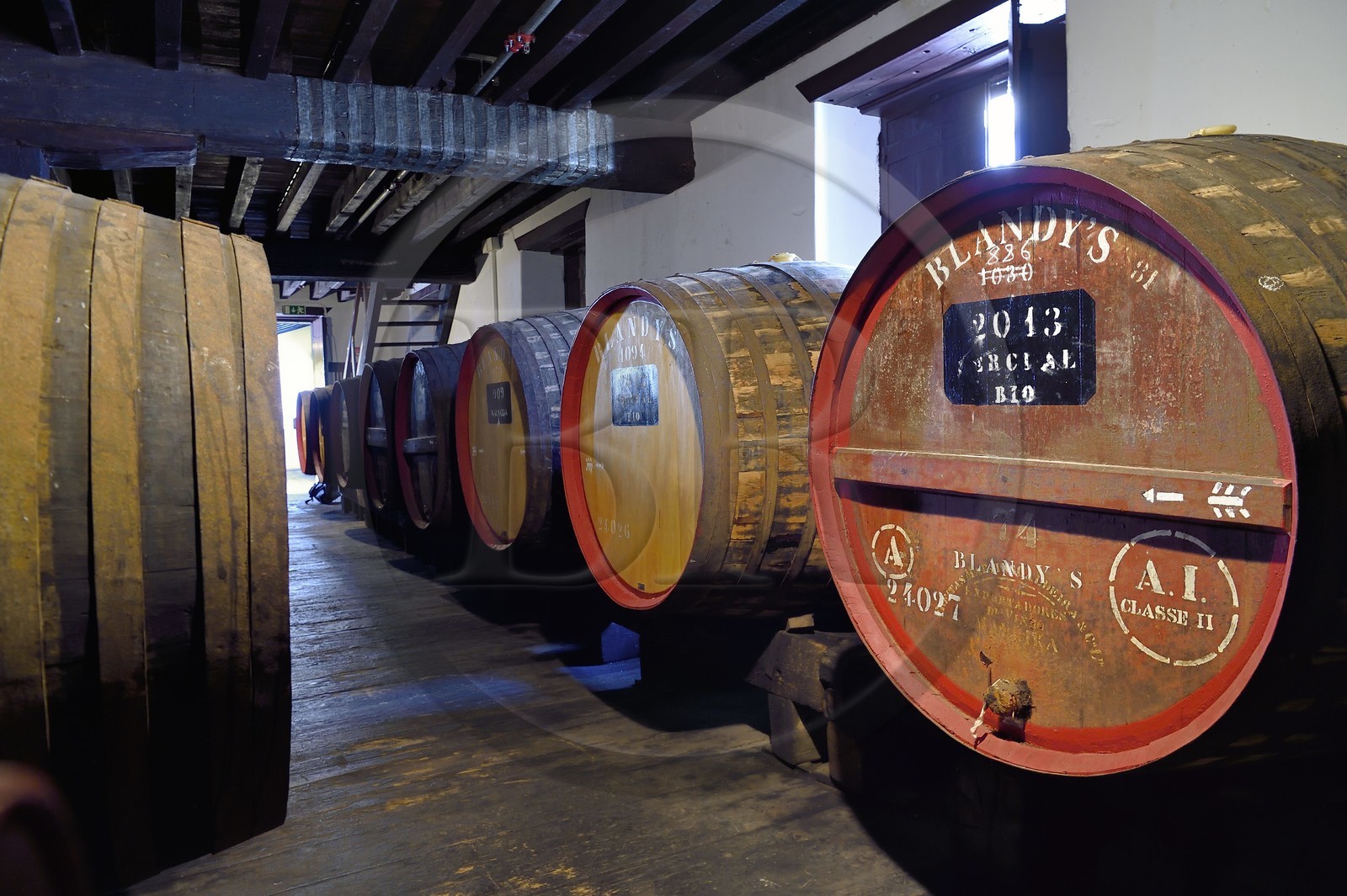 Portugal, Ile de Madère, Funchal, Madeira Wine Company, tonneaux de Madère (vin doux naturel) stockés dans la cave de la marque Blandy's (fondée en 1811)