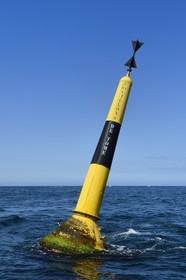 France, Côtes-d'Armor (22), Perros-Guirec, Ile Tomé, bouée de balisage appelleé les couillons de Tomé