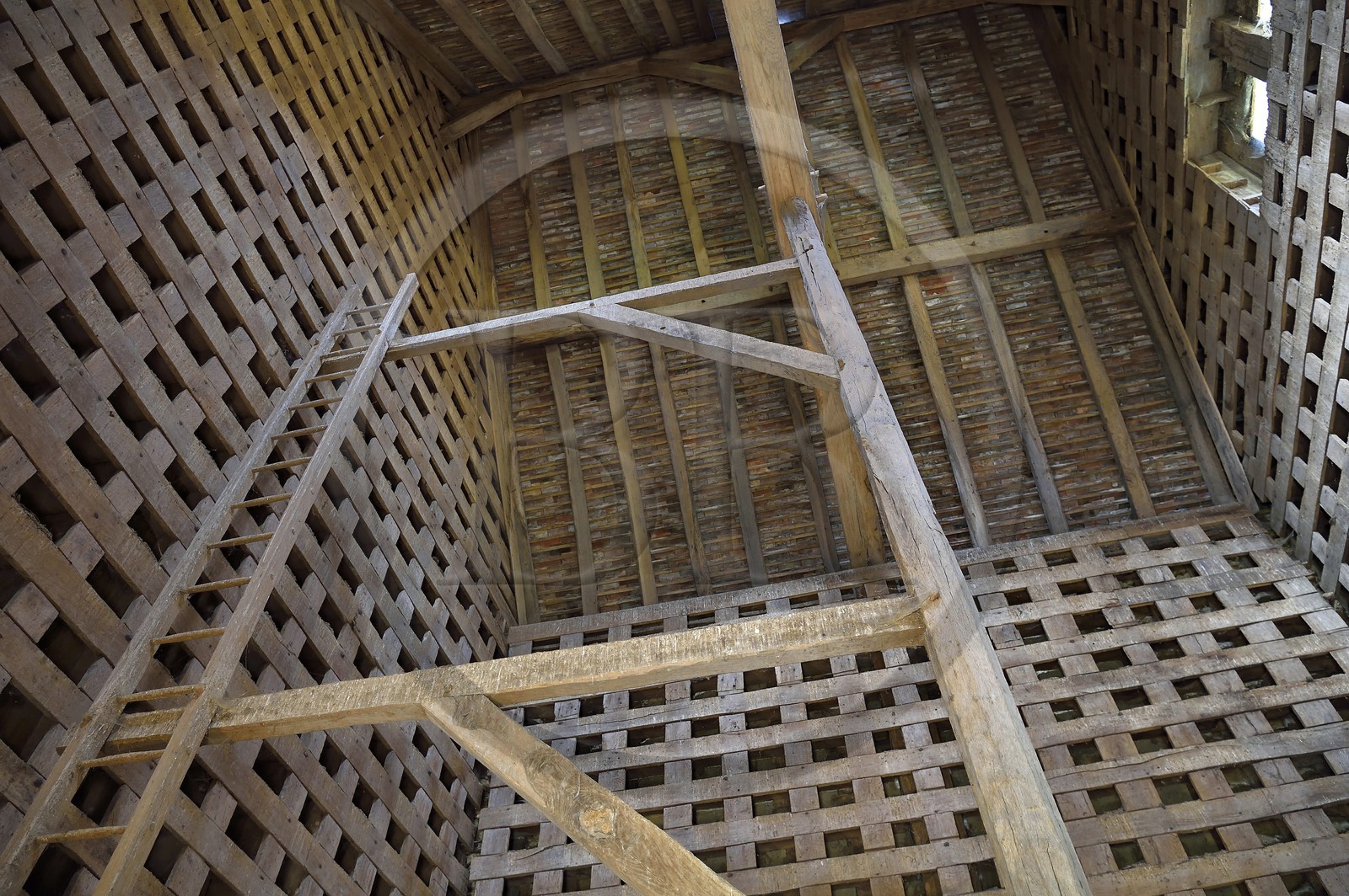 France, Calvados, Pays d'Auge, Crevecoeur en Auge castle, Schlumberger Museum Foundation, the dovecote