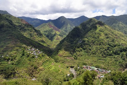 Philippines, province d'Ifugao, les rizières en terrasses de Banaue, classées Patrimoine Mondial de l'UNESCO, alimentées par un ancien système d'irrigation depuis la forêt tropicale au-dessus des terrasses et le village de Cambulo