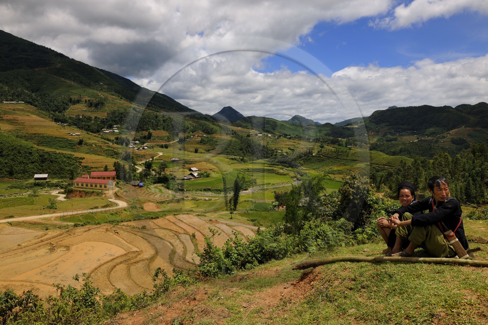 Vietnam, Lao Cai province, Sapa district, Ta Phin valley,  rice plantations in terraces by the Black Hmong minority group