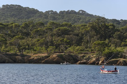 France, Var, Iles d'Hyeres, Parc National de Port Cros (National park of Port Cros), Porquerolles island, the north coast towards Anse du Bon Renaud