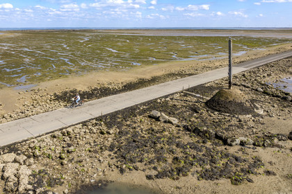 France, Vendée (85), île de Noirmoutier, Barbatre, cyclistes sur le passage du Gois, chaussée submersible qui relie l'île au continent à marrée basse, un des refuges sur la droite (vue aérienne)