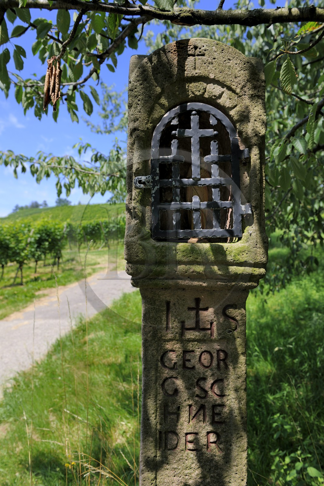 Germany, Black Forest, Schwarzwald, Baden-Württemberg, small oratory in the vineyards