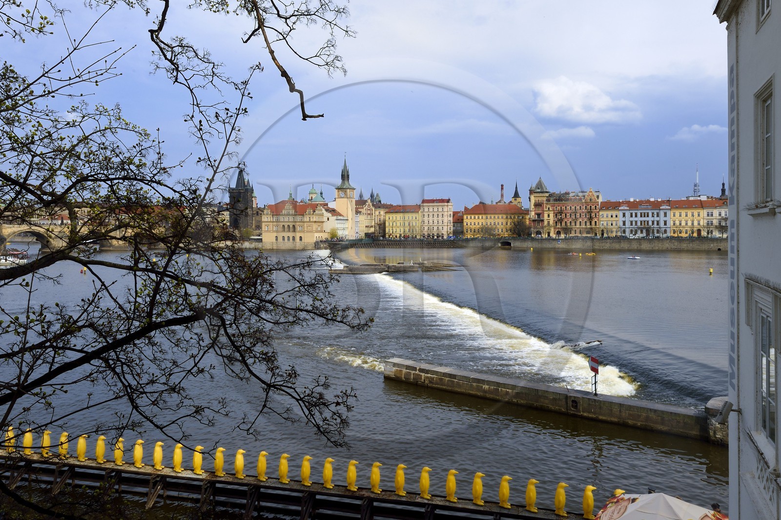 République Tchèque, Prague, quartier de Kampa, 34 pingouins jaunes sur la rivière Vltava installés par le groupe d'artistes Cracking Art Group au pied du musée Kampa