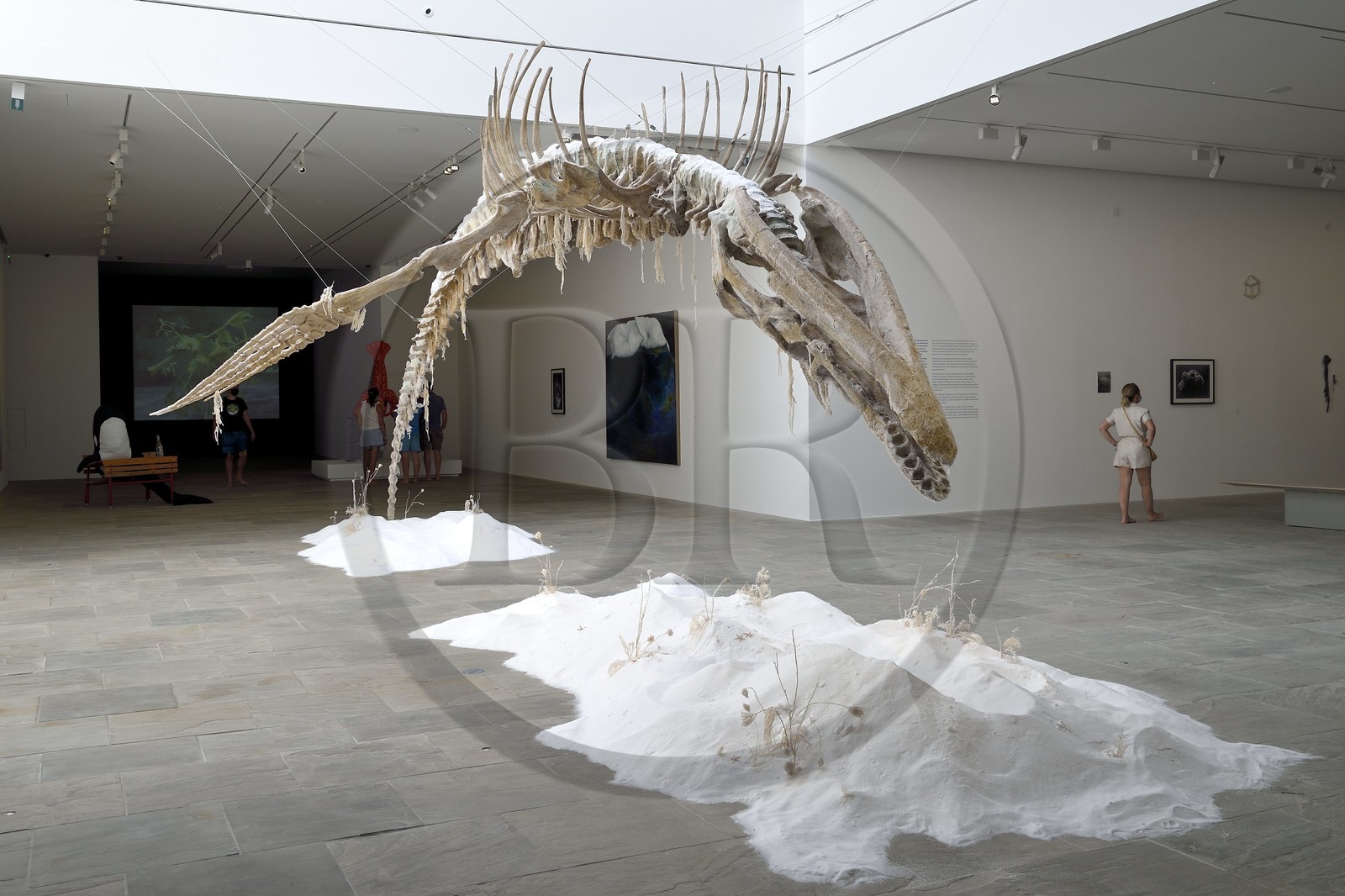 France, Var (83), Iles d'Hyères, parc national de Port Cros, Ile de Porquerolles, la Fondation Carmignac, exposition La Mer imaginaire, The Fall and Rise (2001) oeuvre de Bianca Bondi