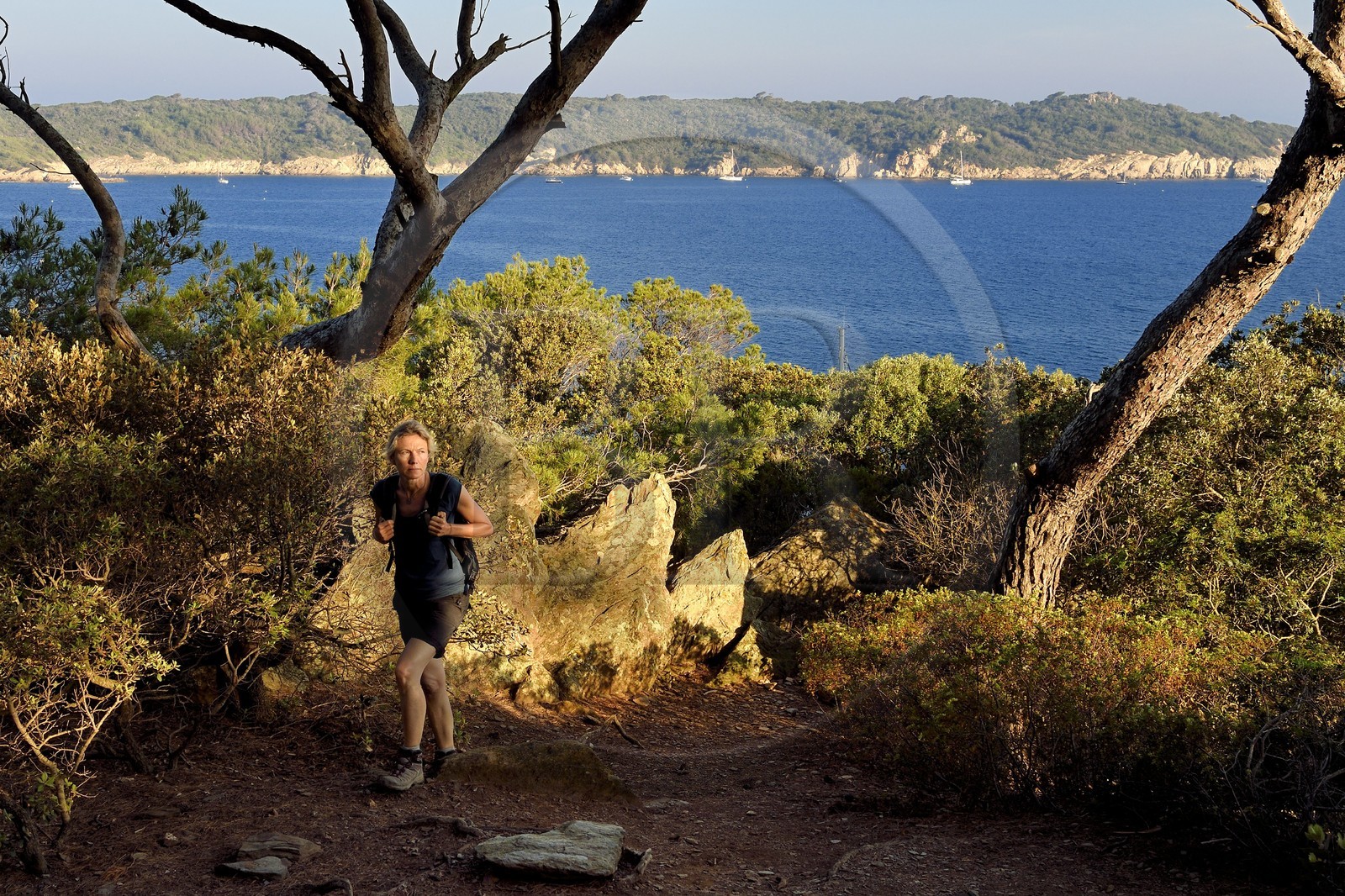 France, Var (83), Iles d'Hyères, parc national de Port Cros, Ile de Port-Cros, randonneuse sur un sentier cotier et l'Ile de Bagaud qui est une réserve intégrale en arrière plan