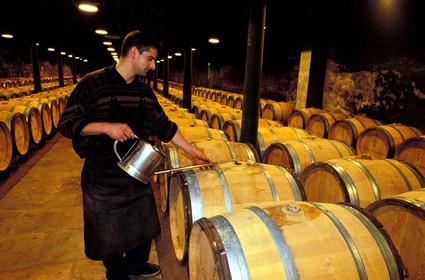 France, Saone et Loire, Romaneche Thorins, Duboeuf establishment, hamlet cellar in Beaujolais