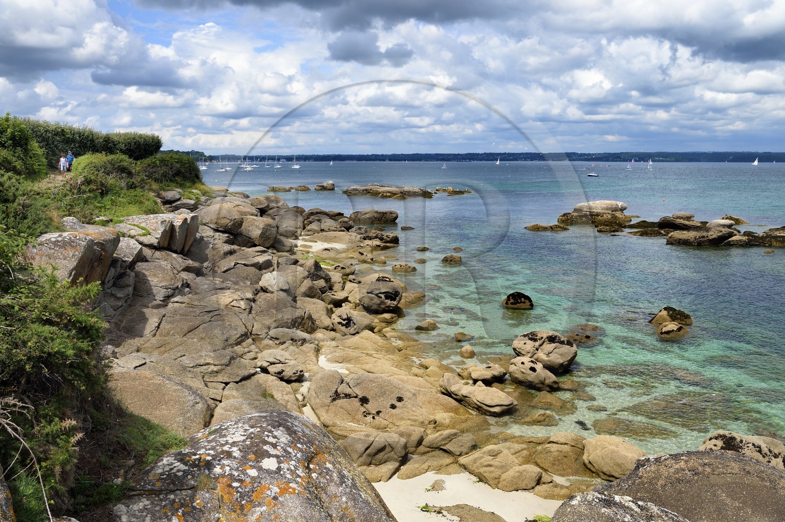 France,  Finistère (29), Fouesnant, le chemin du littoral entre le Cap Coz et la Pointe de Beg Meil