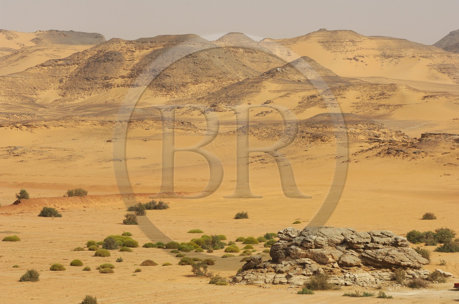 Egypte, Haute Egypte, Nubie, désert au bord du Lac Nasser