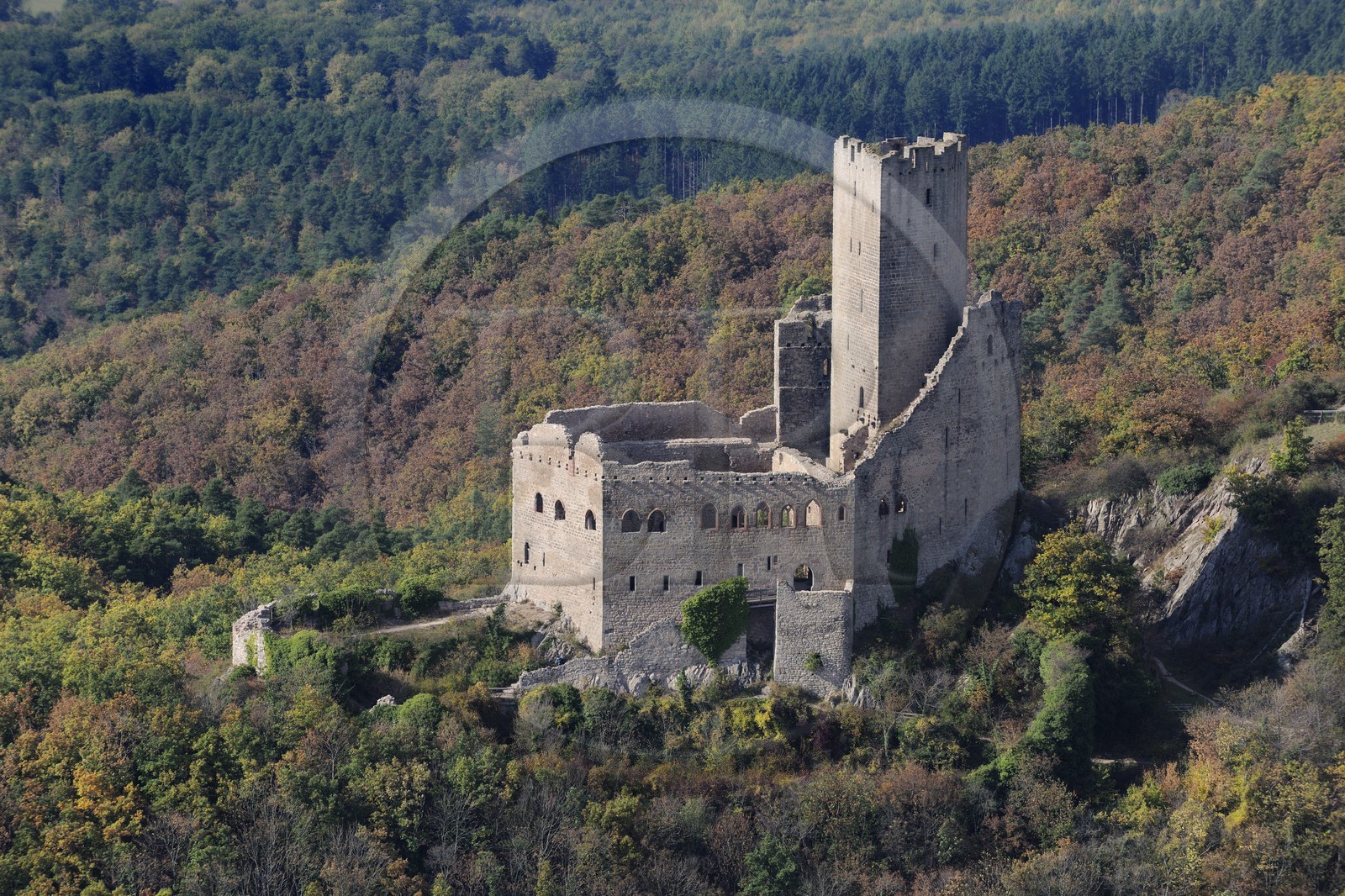 France, Bas-Rhin (67), le château de Ortenbourg dans la forêt des Vosges (photo aérienne)