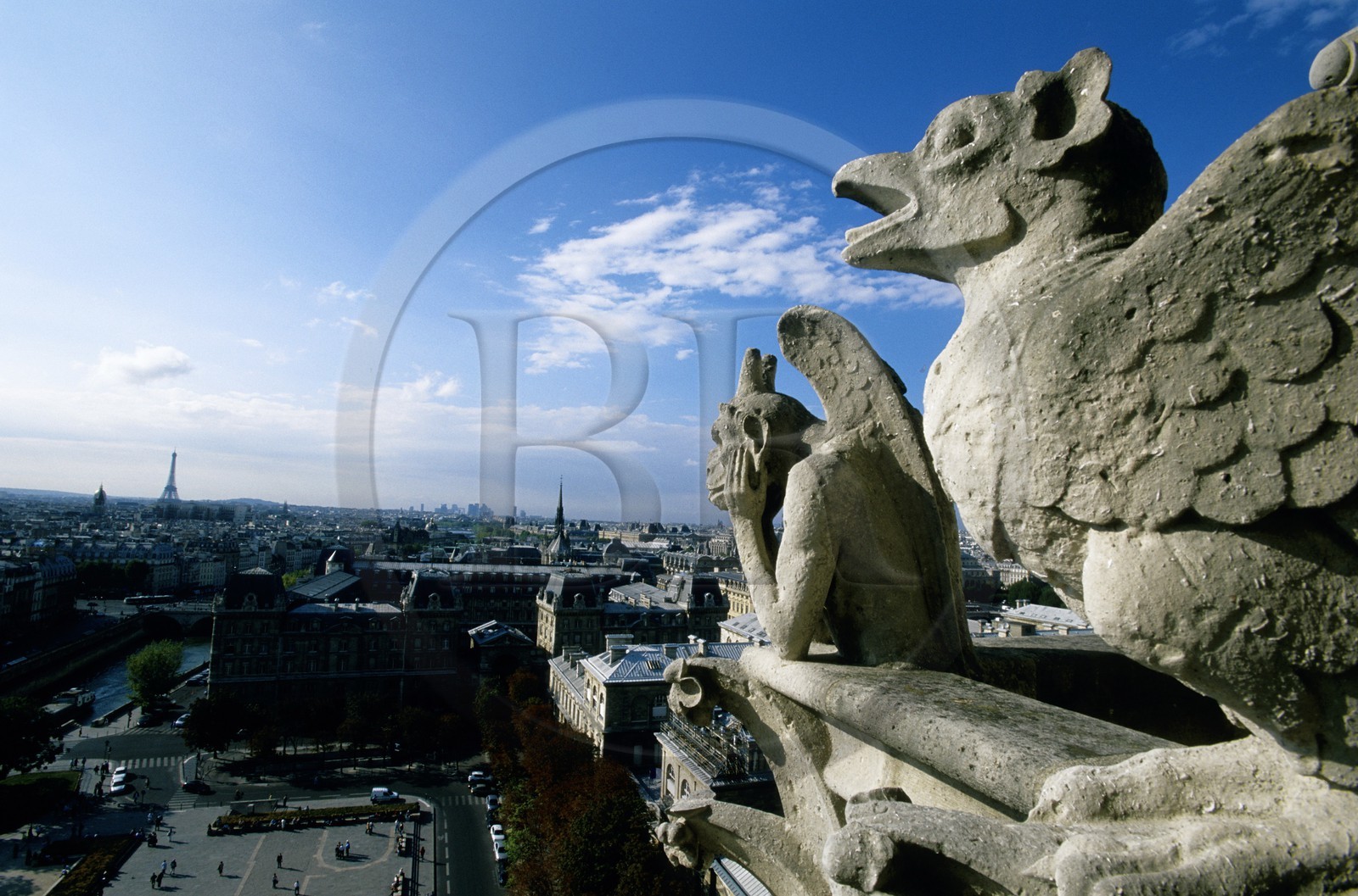 France, Paris, Ile de la Cite, Notre Dame de Paris, a Gargoyle with a View on Paris