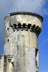 France, Charente-Maritime (17), Saintonge, Taillebourg, la tour est le  seul vestige du chateau médiéval