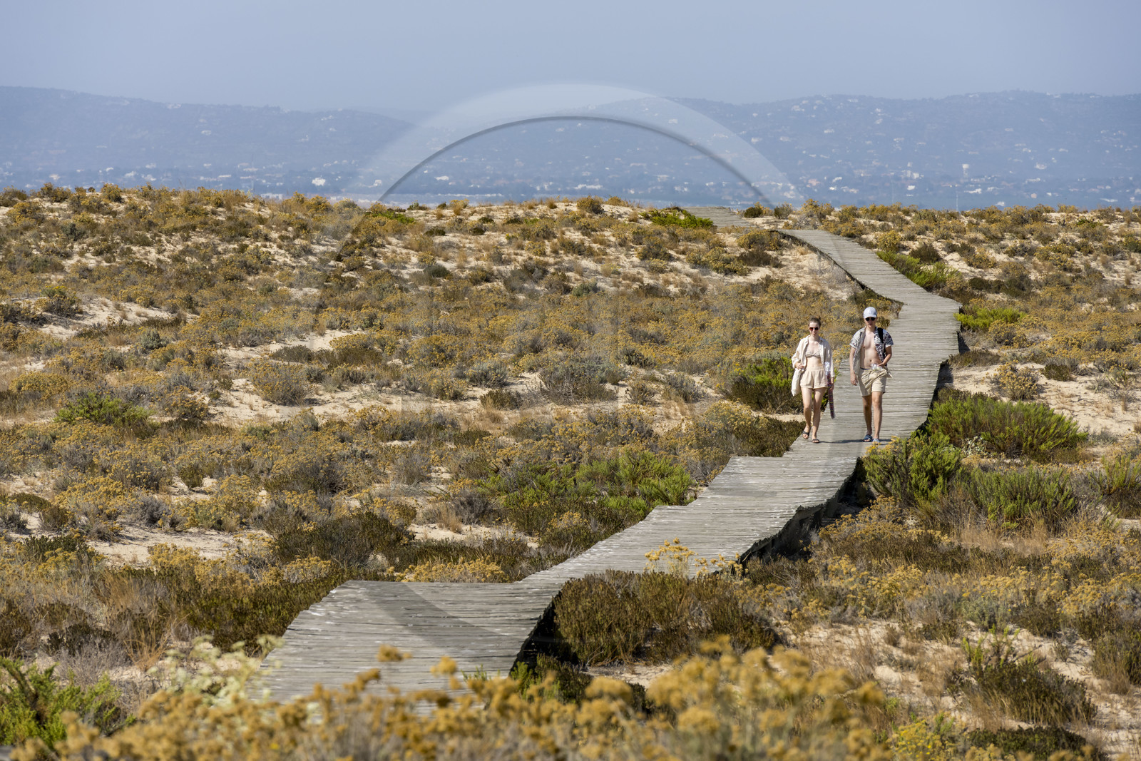 Portugal, Algarve, Ria Formosa Natural Park, Faro, wooden plank path on Island of Barreta or Deserta (Ilha da Barretta or Deserta)