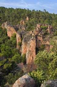France, Var, between Bagnols en Foret and Roquebrune sur Argens, the Gorges du Blavet