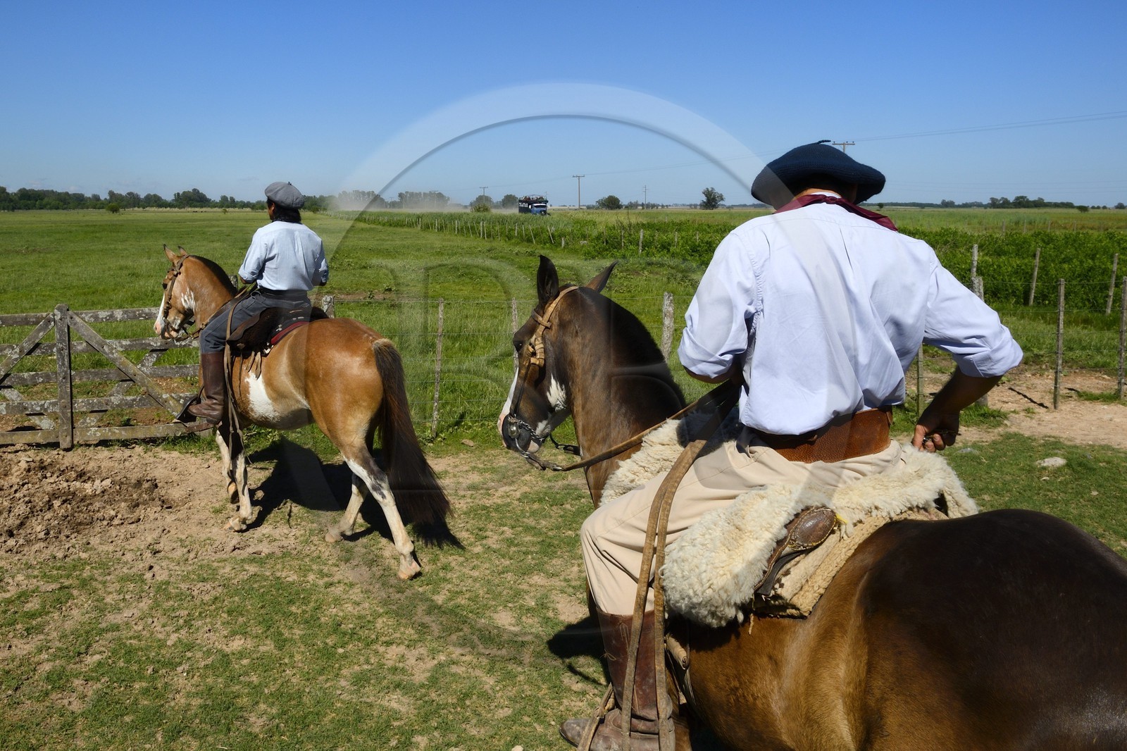 Argentine, province de Buenos Aires, San Antonio de Areco, estancia La Bamba de Areco, gauchos partant au travail