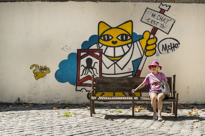 France, Hérault (34), Sète, le Quartier Haut, fresque murale qui fait parti du MACO - Musée à ciel ouvert, Chat c'est toi de l'artiste Mr Chat sur la Place Léon Blum