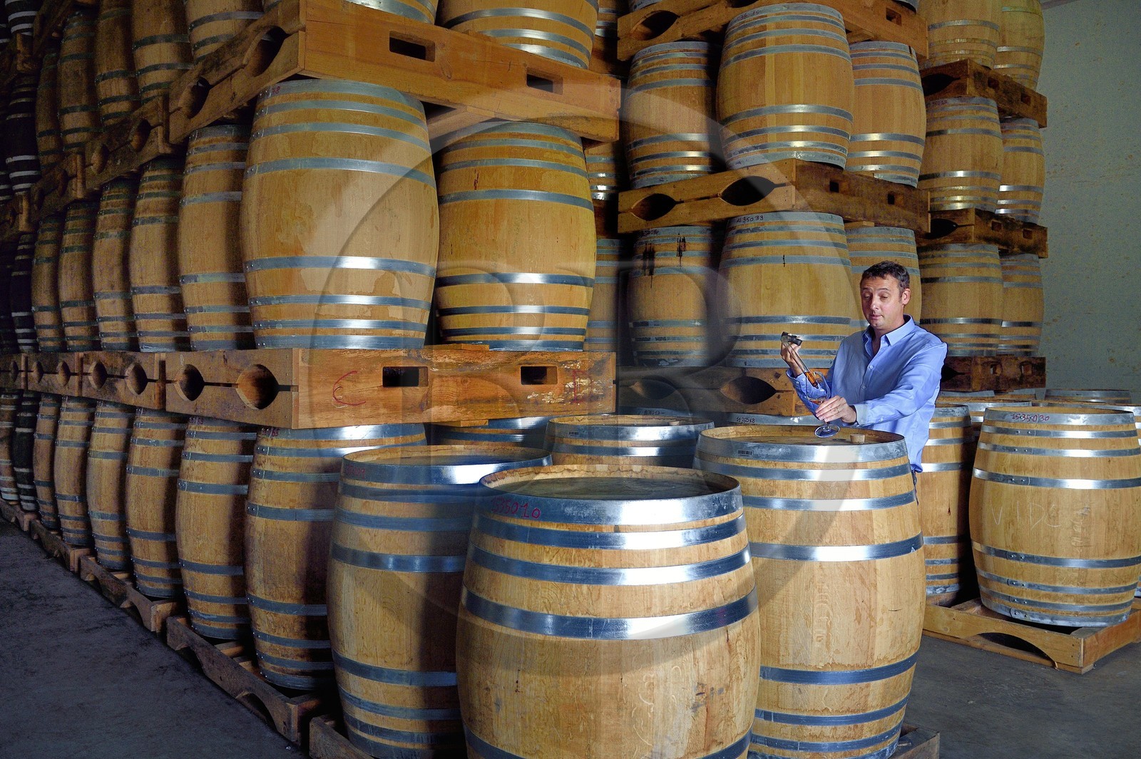 France, Ile de la Reunion, Saint Pierre, domaine de la distillerie Isautier, vieillissement des rhums vieux dans les chais entre 6 et 14 mois en futs neufs puis plusieurs années ensuite par lot en futs roux, Cyril Isautier directeur de la branche rhums et punchs du groupe Isautier fait un prélèvement à la pipette pour une dégustation