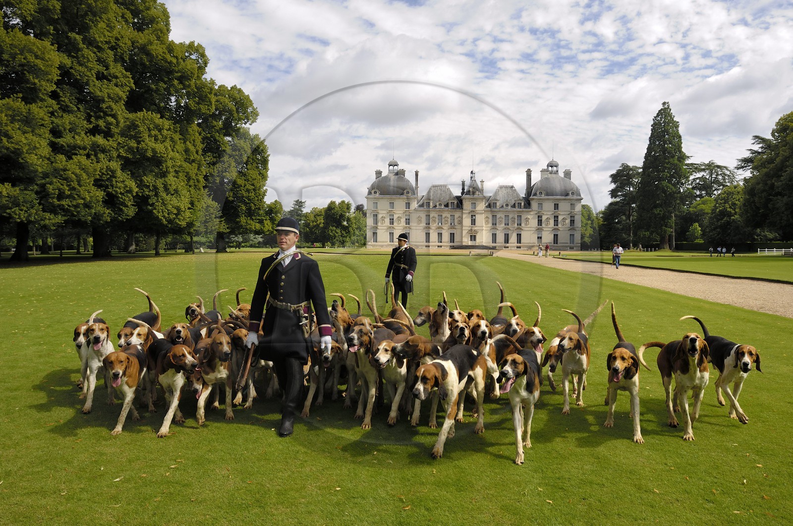 France, Loir-et-Cher (41), château de Cheverny, les piqueux Vol au Vent et La Rosée qui gèrent la meute de 90 chiens de chasse à cour