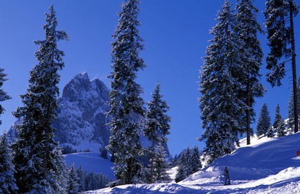 Suisse, région de Bern (Oberland Bernois), Saanenland, piste de ski sur les hauteurs de Gstaad