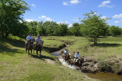 Argentine, province de Buenos Aires, San Antonio de Areco, estancia La Bamba de Areco, gauchos au travail remontant la rivière