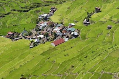 Philippines, Ifugao province, Banaue rice terraces around the village of Batad, listed as World Heritage by UNESCO