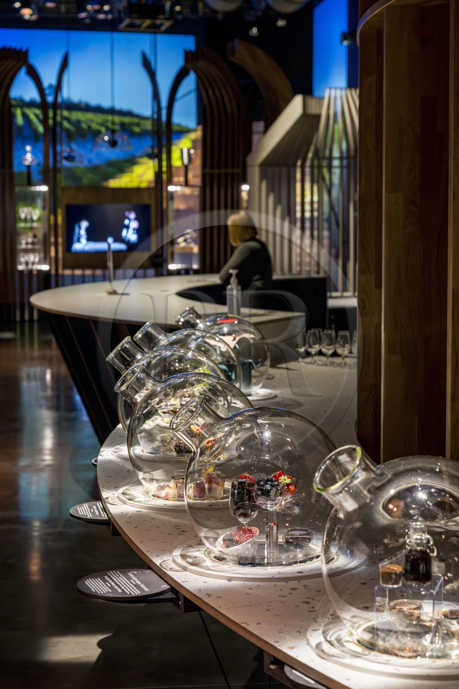 France, Côte-d'Or (21), les climats de Bourgogne classés Patrimoine Mondial de l'UNESCO, Beaune, la Cité des vins et climats de Bourgogne,  expériences sensorielles