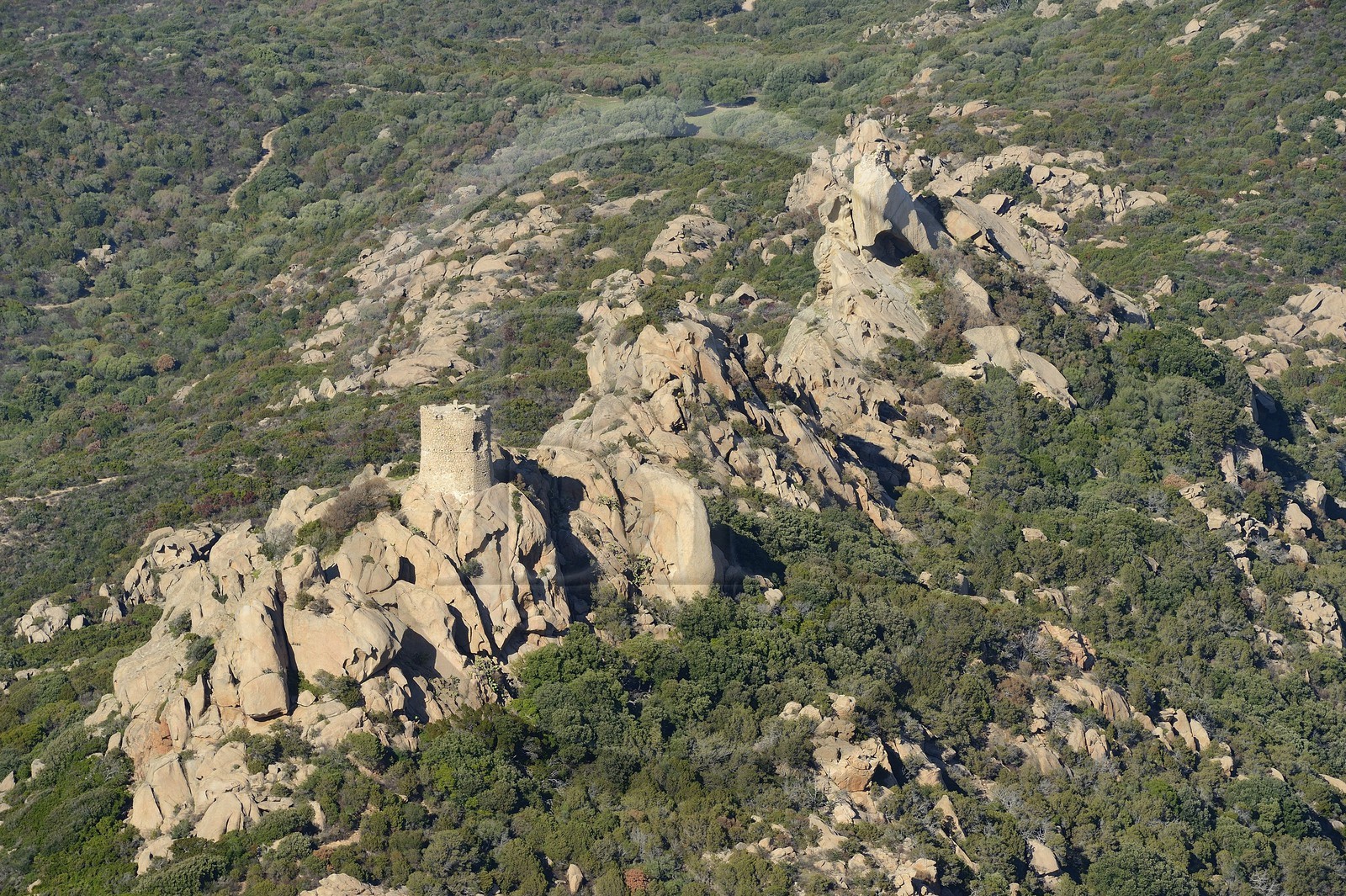 France, Corse-du-Sud (2A), le site naturel de Cala de Roccapina, la tour génoise de Roccapina et le rocher du Lion (vue aérienne)