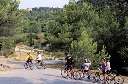 France, Aude (11), le massif de la Clape, des cyclistes en promenade