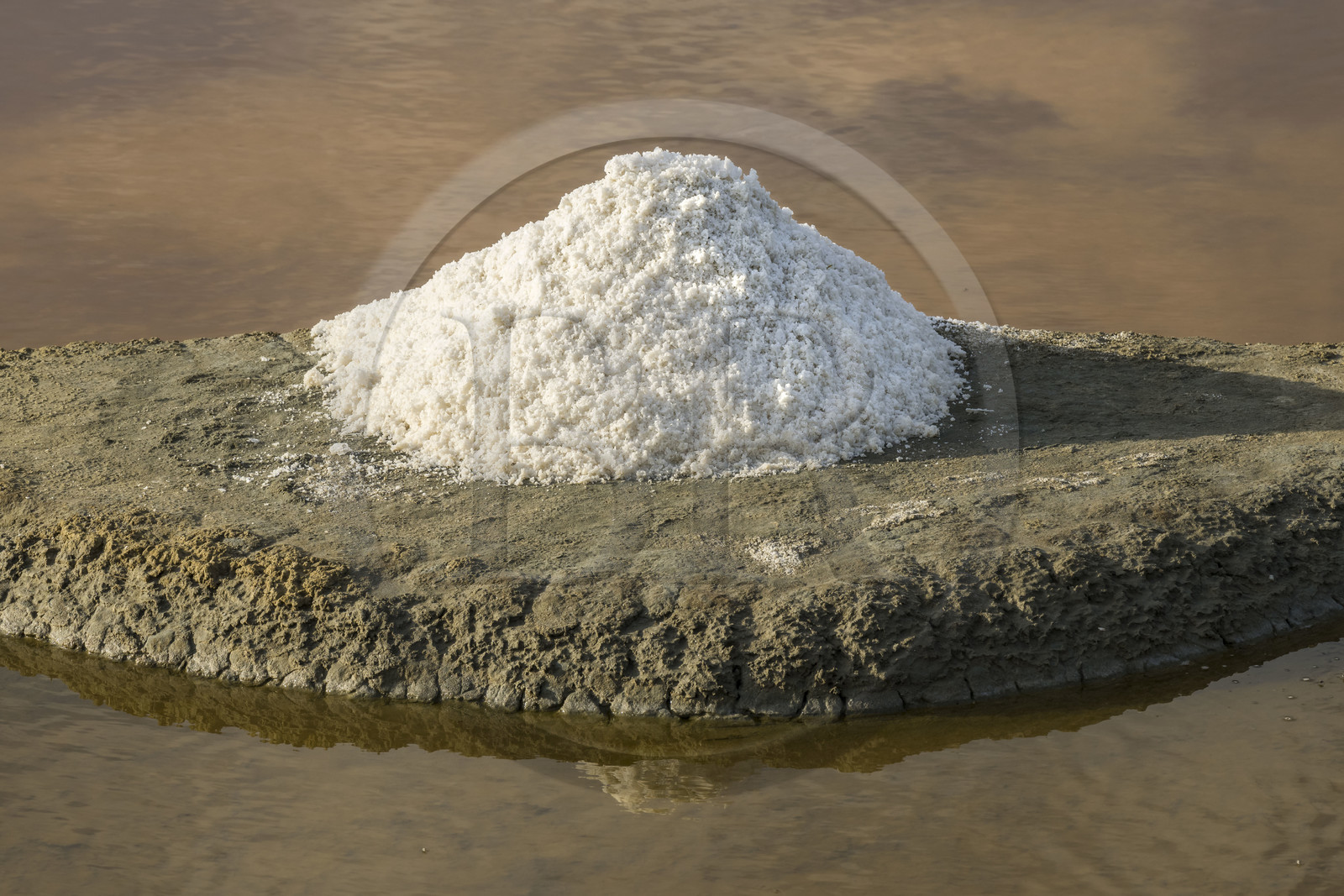 France, Vendée (85), L'Ile d'Olonne vers Les-Sables-d'Olonne, salorge de la Vertonne dans les Marais Salants, récolte artisanale du sel