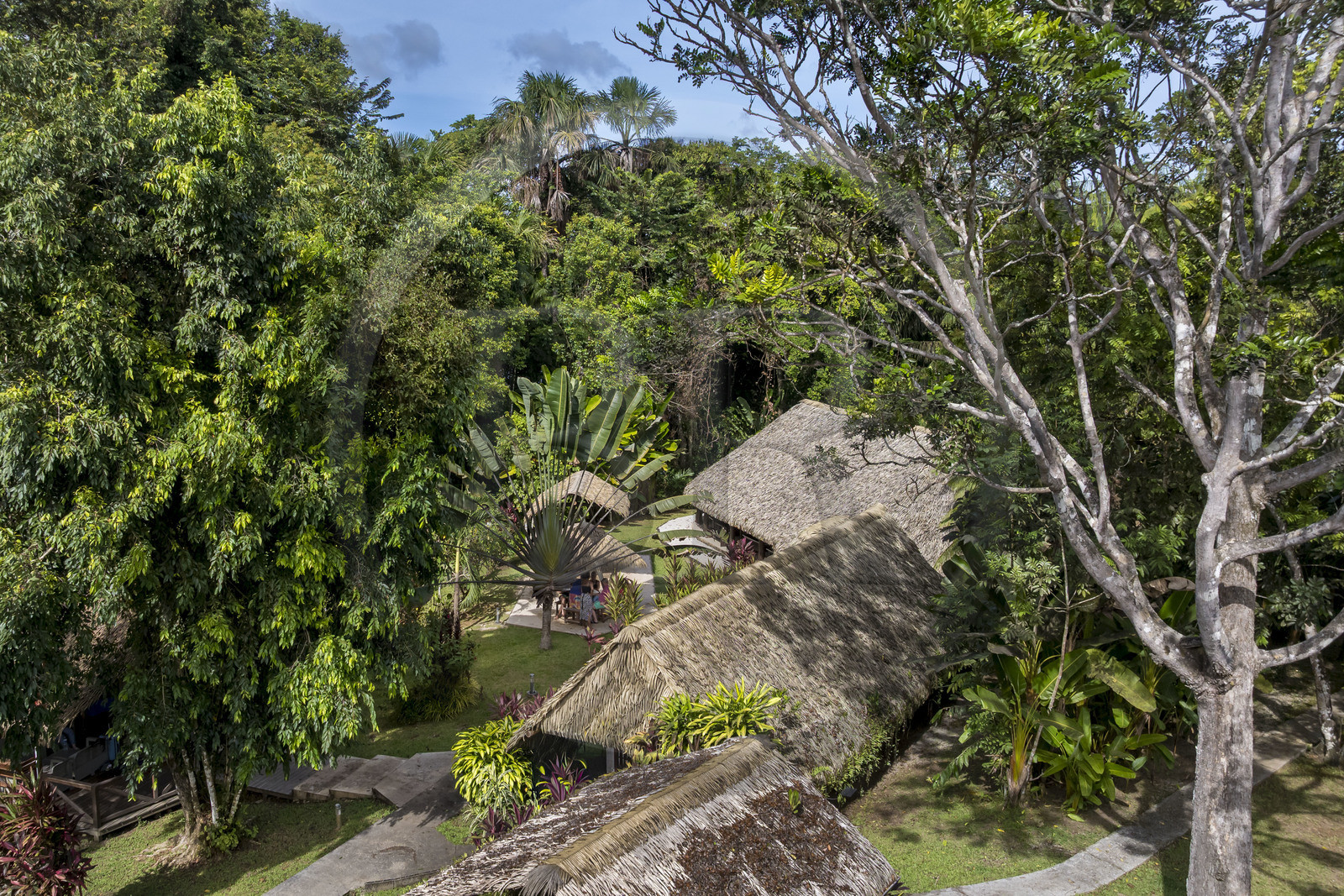 France, French Guiana, the carbet (shelter) at Camp Maripas on the banks of the Kourou river (aerial view)