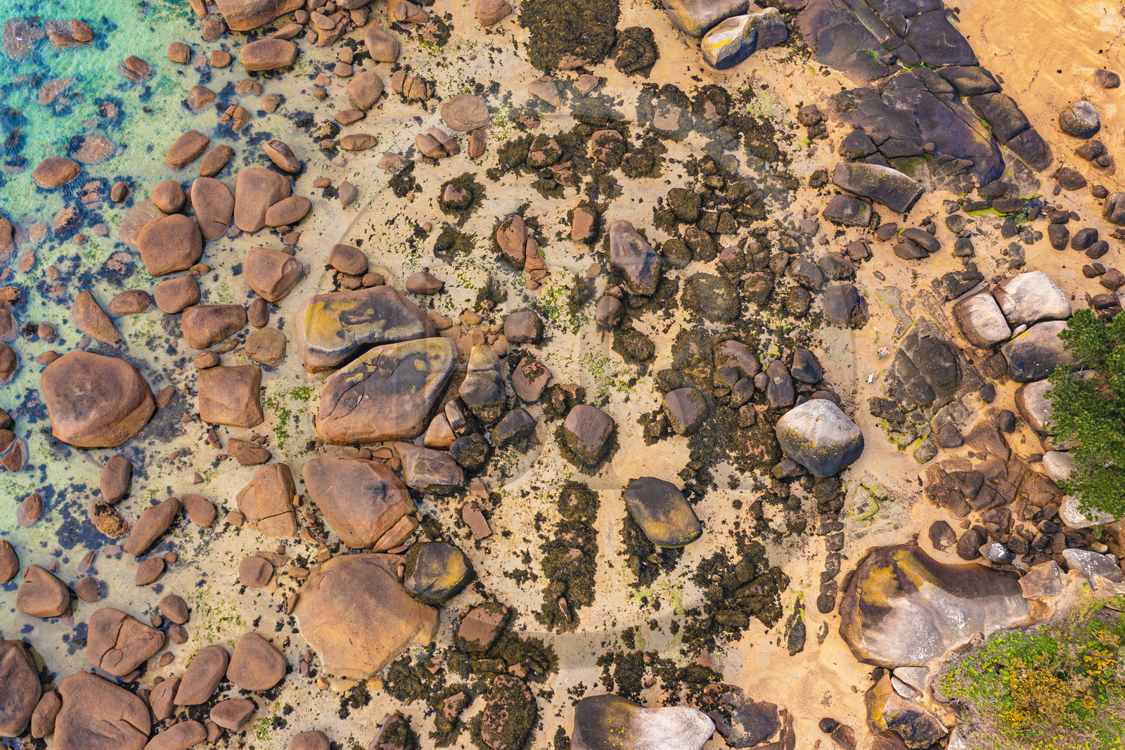 France, Côtes-d'Armor (22), Côte de Granit Rose, Trégastel, Ile Renote, une promeneuse et son chien dans le chaos granitique (vue aérienne)