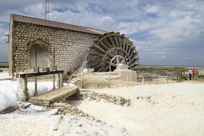 France, Bouches-du-Rhône (13), Camargue, Salin-de-Giraud, les salins du Midi, roue à aube de la station de pompage
