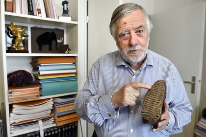 France, Paris, the french paleontologist and paleoanthropologist Yves Coppens, professor at the College de France, in the office of his home in Paris, it has a mammoth tooth he found in Siberia during one of his expeditions