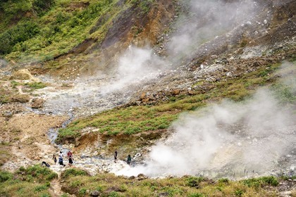 Caraïbes, Ile de la Dominique, Castle Bruce, Parc national du Morne Trois Pitons classé Patrimoine Mondial de l'UNESCO, la Vallée de la Désolation avec fumerolles et sources d'eau chaude, randonnée sur le sentier menant au Boiling Lake