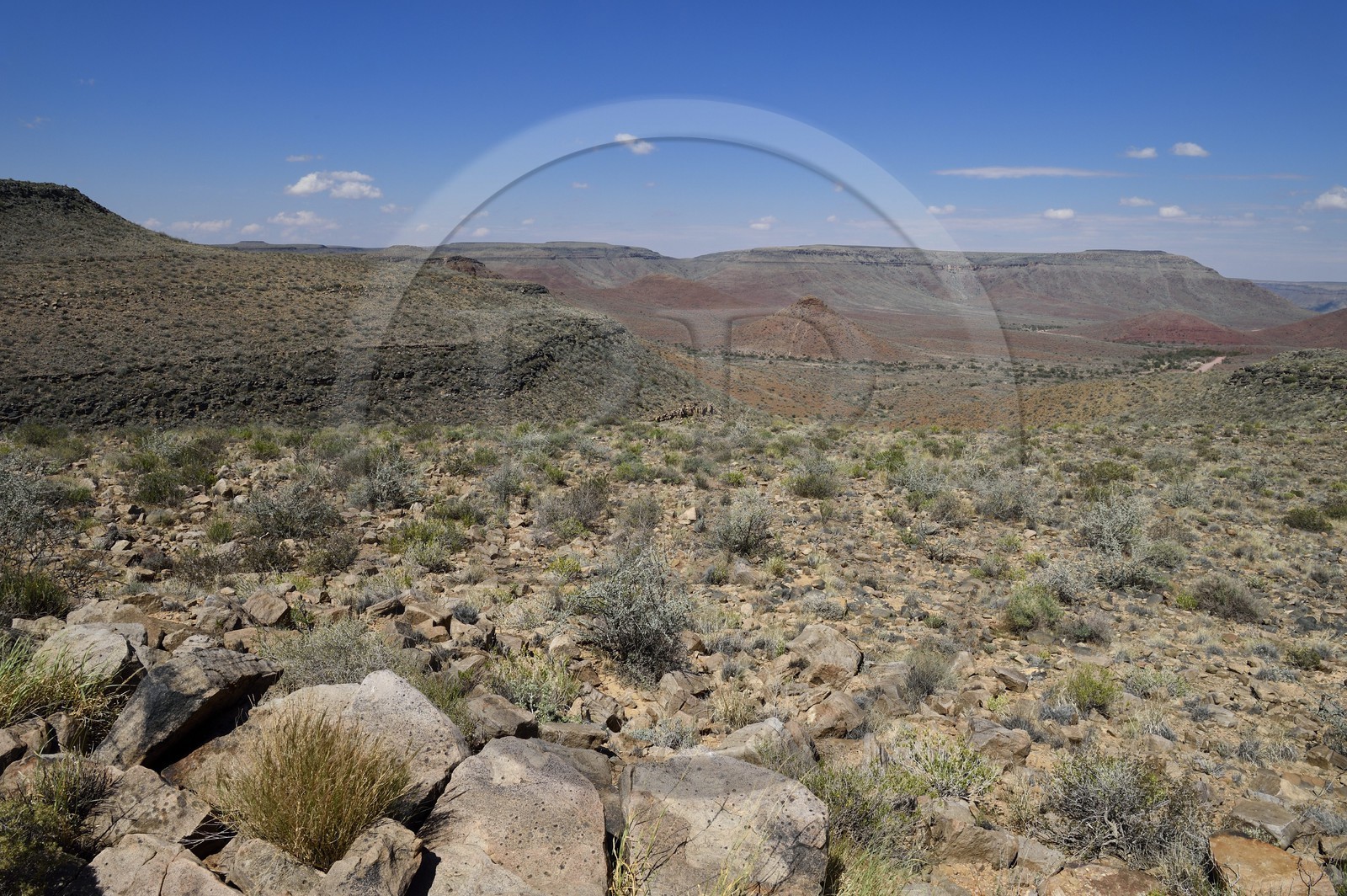 Namibie, région de Hardap, désert du Namib à l'Est du parc national Namib Naukluft, col de Zaris