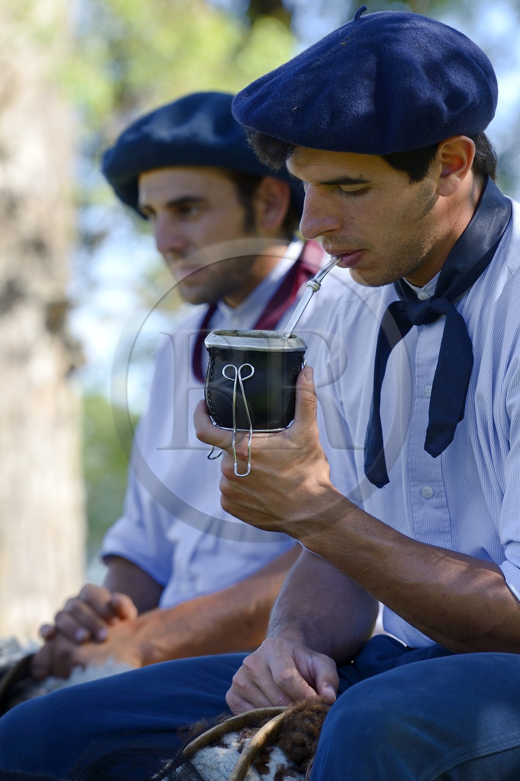 Argentine, province de Buenos Aires, San Antonio de Areco, estancia La Bamba de Areco, gaucho buvant du maté (infusion locale)