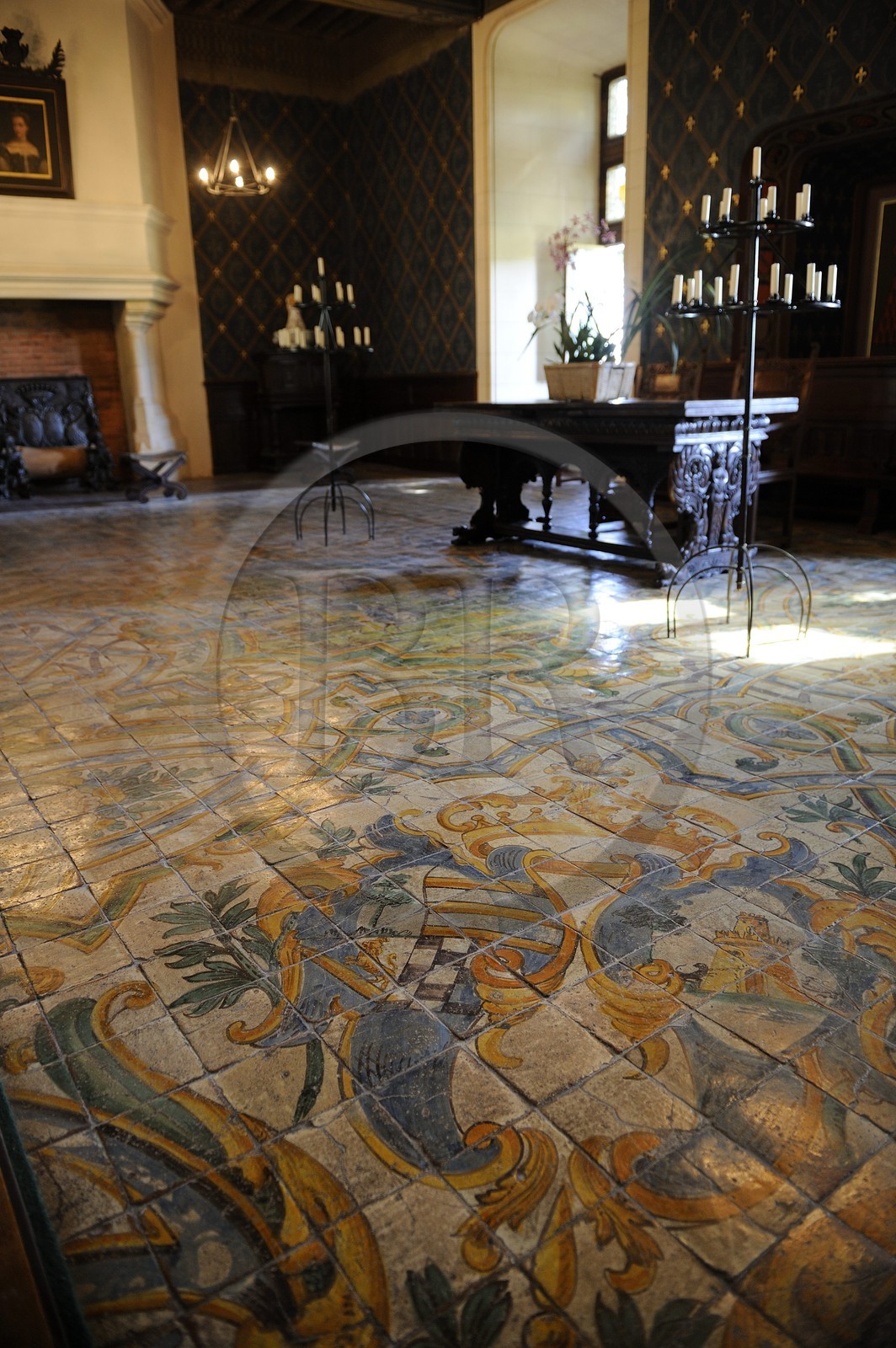 France, Loir-et-Cher (41), Vallée de la Loire classée Patrimoine Mondial de l'UNESCO, château de Chaumont-sur-Loire, salle du conseil
