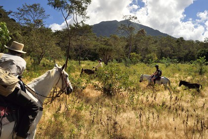 Nicaragua, Ile d'Ometepe sur le lac Nicaragua, cavaliers en randonnée sur les pentes du volcan Maderas