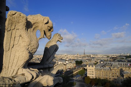 France, Paris (75), île de la Cité, la cathédrale Notre-Dame, les chimères observent la ville
