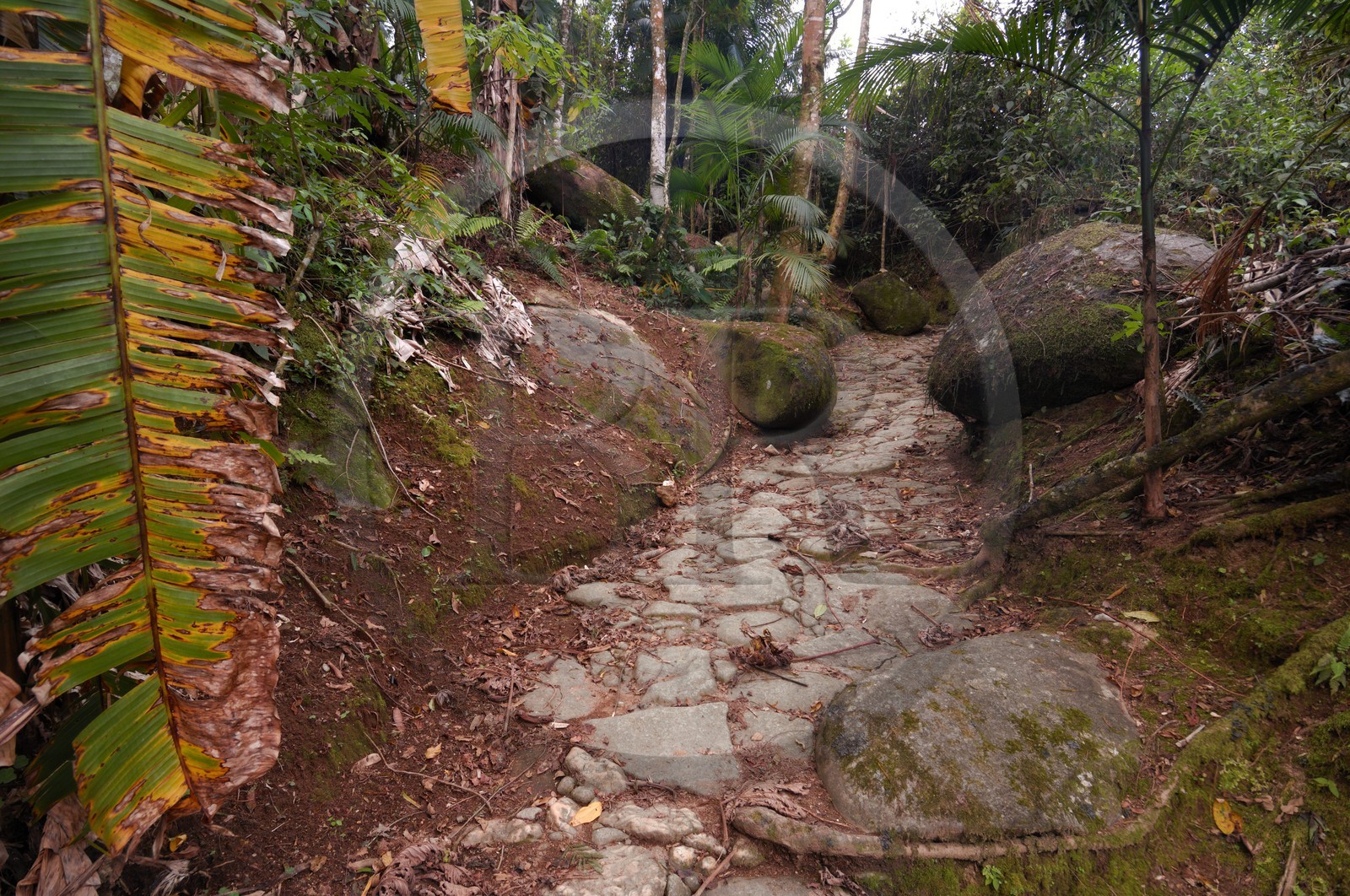 Brazil, Rio de Janeiro State, Paraty, former Gold Trail (Estrada Real)