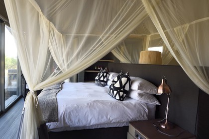 Zimbabwe, province de Matabeleland septentrional, parc national Hwange, Wilderness Safaris Linkwasha Camp, un lodge