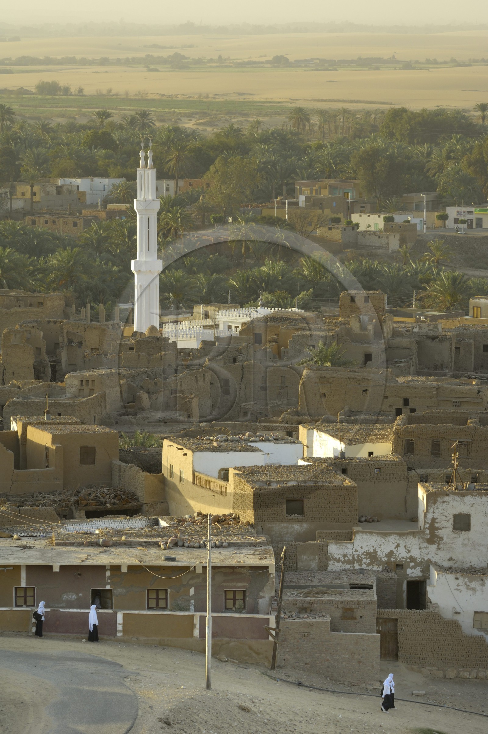 Egypte, Haute Egypte, désert libyque, oasis de Dakhla, vieux village de Al-Qasr