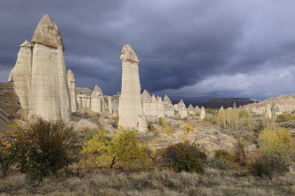 Turquie, Anatolie Centrale, province de Nevsehir, Cappadoce classée Patrimoine Mondial de l'UNESCO, environs d'Uçhisar, vallée de l'Amour, paysage d'érosion et cheminées de fées