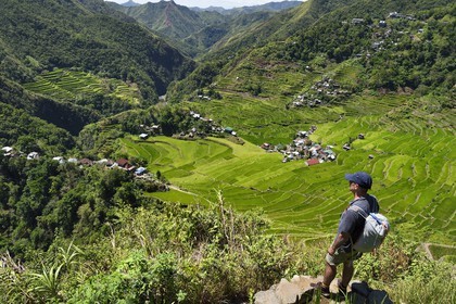 Philippines, province d'Ifugao, randonneur surplombant les rizières en terrasses de Banaue autour du village de Batad, classées Patrimoine Mondial de l'UNESCO
