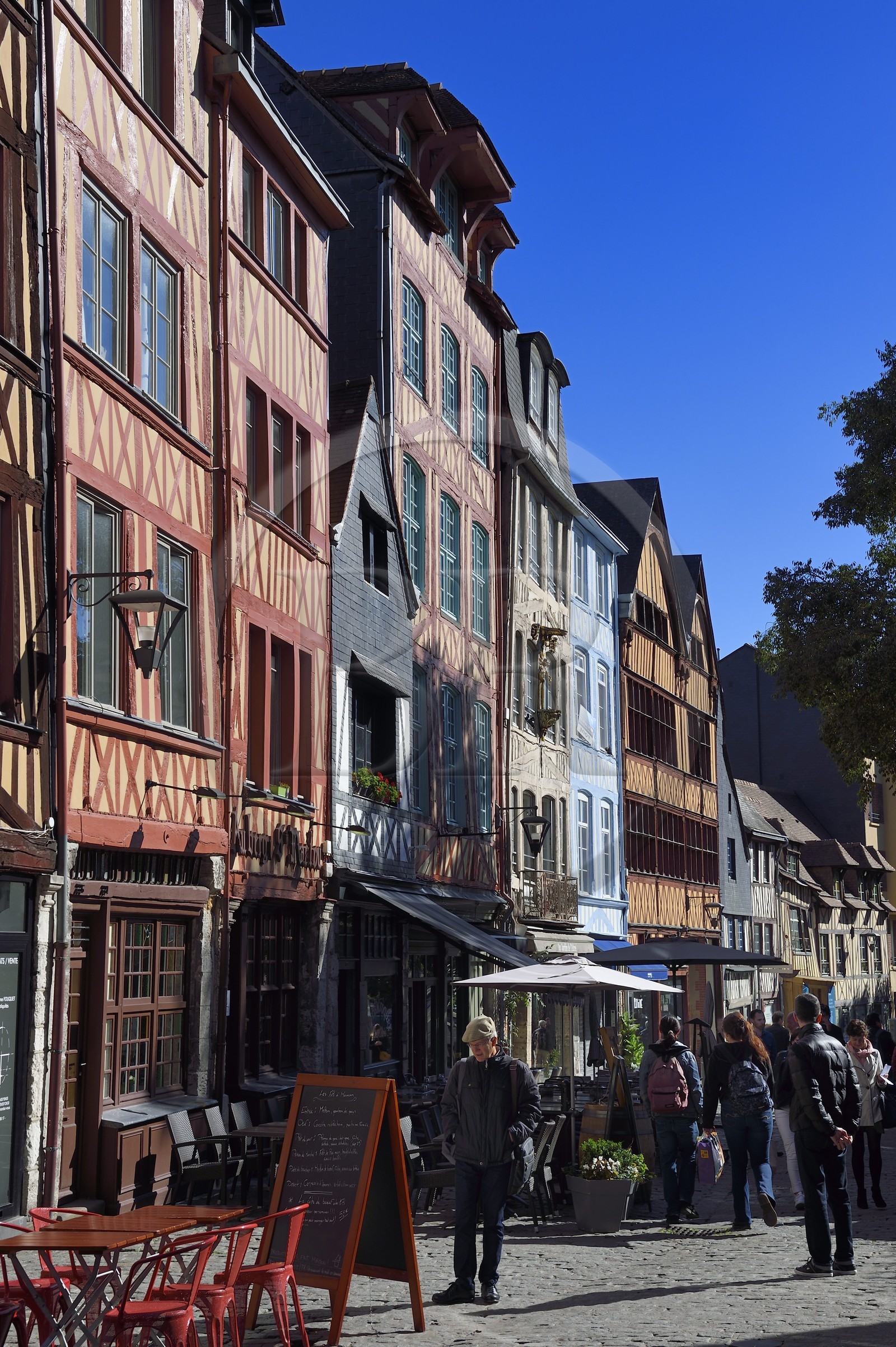France, Seine Maritime, Rouen, half-timbered houses the medieval street Martainville beside the St Maclou church