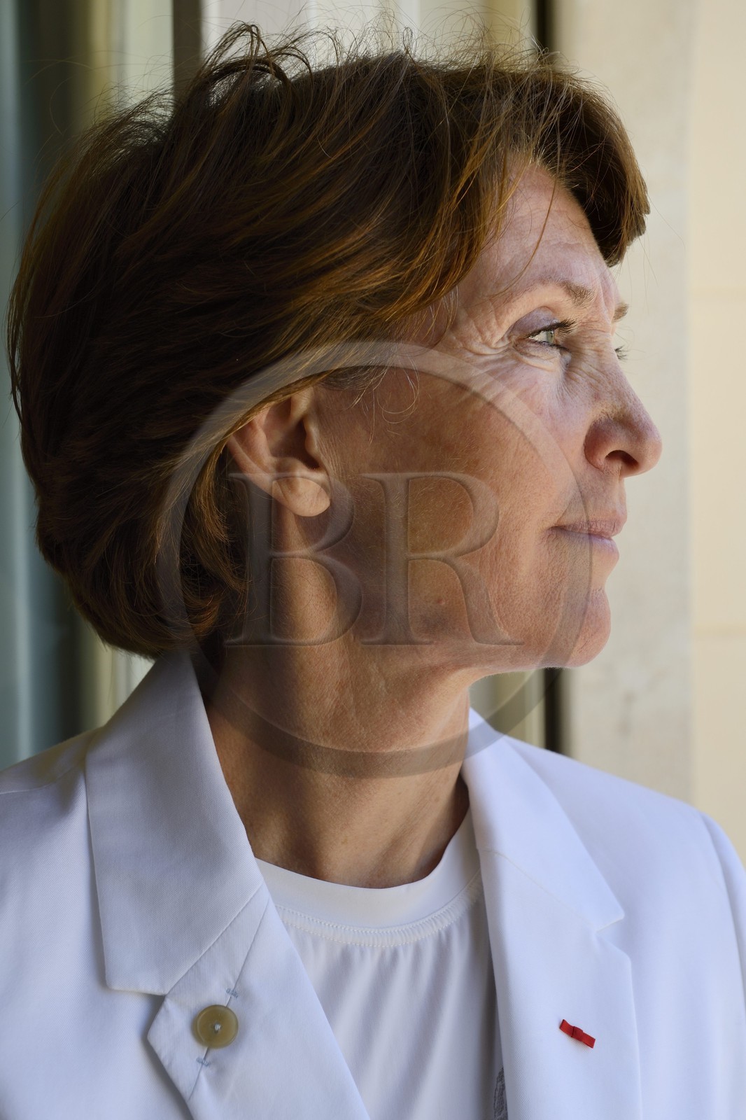 France, Alpes Maritimes, Cannes, the Villa La Californie where Picasso lived, today renamed the Pavillon de Flore by Marina Picasso, Marina Picasso granddaughter of Picasso